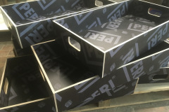 CITI_IZSTR-9